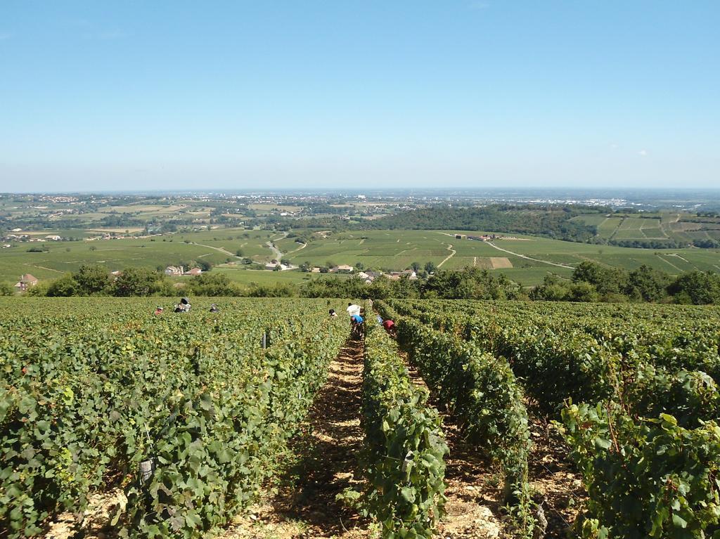 Le Haut De Collonge Villa Saint-Boil Kültér fotó
